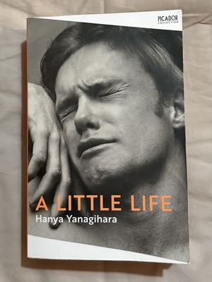 A Little Life book by Hanya Yanagihara