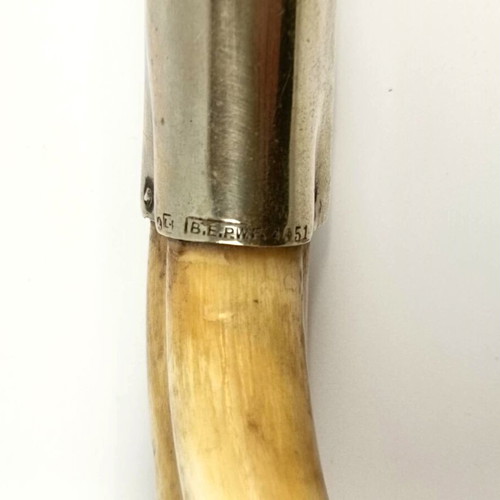 Antique German cigar cutter from 1930s like new, boar tooth and silver