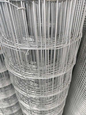 Pointed mesh 6x10 new, 20m roll, 2.2 mm mesh size, 1m height