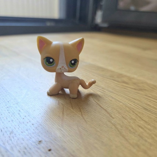 Littlest Pet Shop #72 Orange Short Hair Cat used