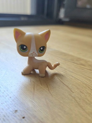 Littlest Pet Shop #72 Orange Short Hair Cat used