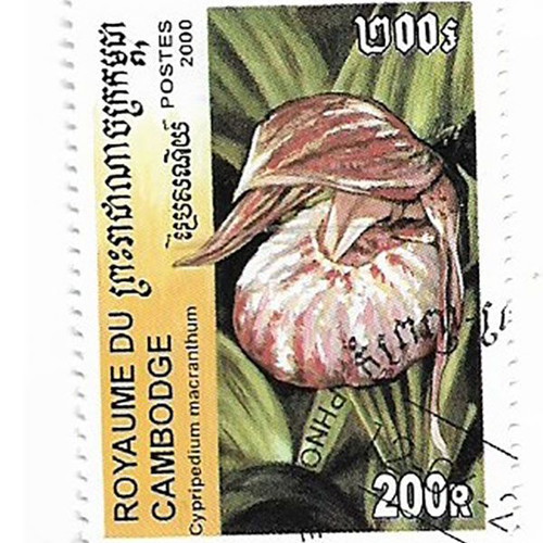 Cambodia 2000 orchids 4 stamps CTO new