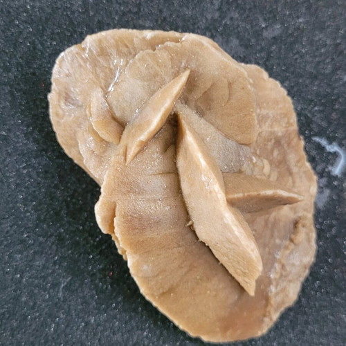 Selenite mineral desert rose like new from North Africa