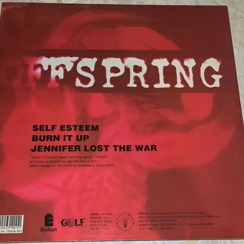 The Offspring vinyl record used, Self Esteem