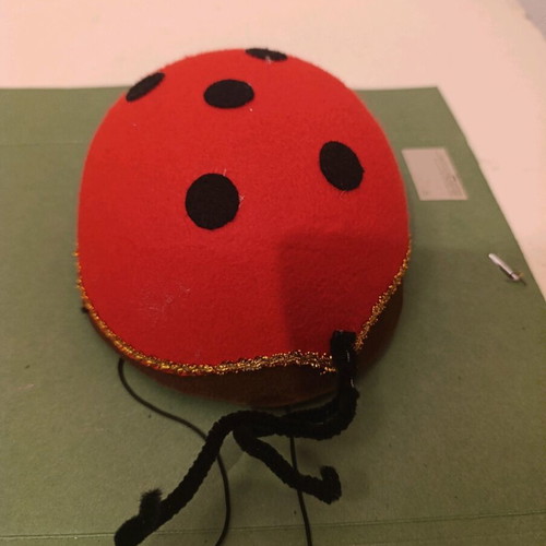 Ladybug hat like new condition