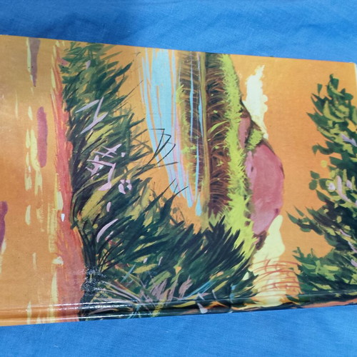 Robinson Crusoe hardcover book used, Greek edition