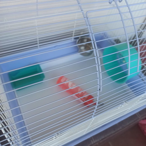 Hamster cage used, with cleaning drawer