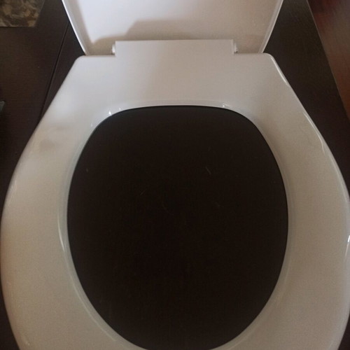 Plastic toilet seat new with screws