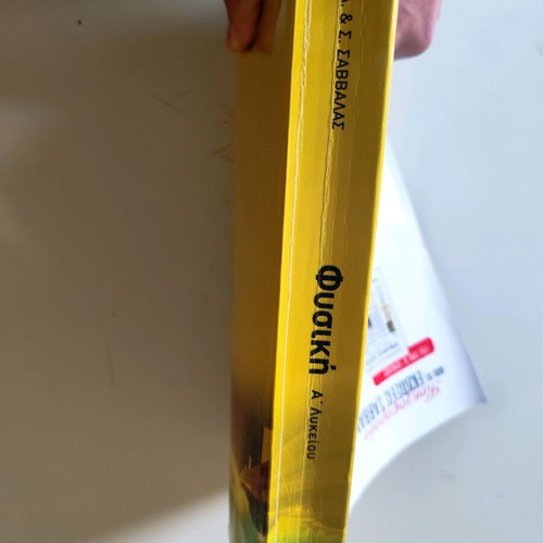 Savvalas Physics Workbook used, Grade A High School