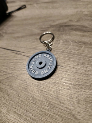 Keychain Weight Plate 25kg "No Pain No Gain" New