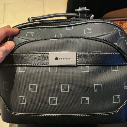 Desley beauty case new