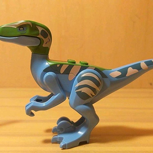 Raptors used 3rd generation in very good condition