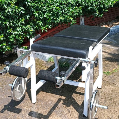 Fitness machine like new, adjustable backrest, leg exercises