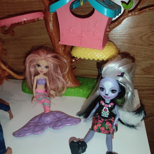 Enchantimals doll set used