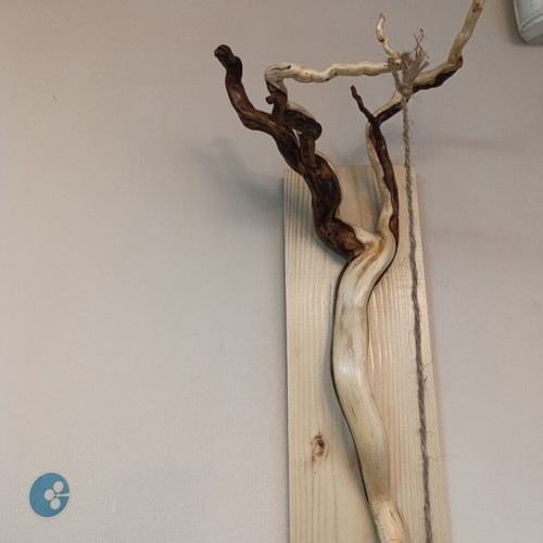 Handcrafted Wall-Mounted Forest Root Plant Hanger new