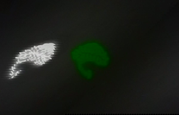 Σήμα του Ολυμπιακού Glow in the dark