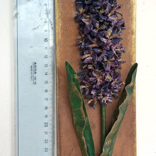 3D Handmade Hyacinth Frame new from cypress apple seeds
