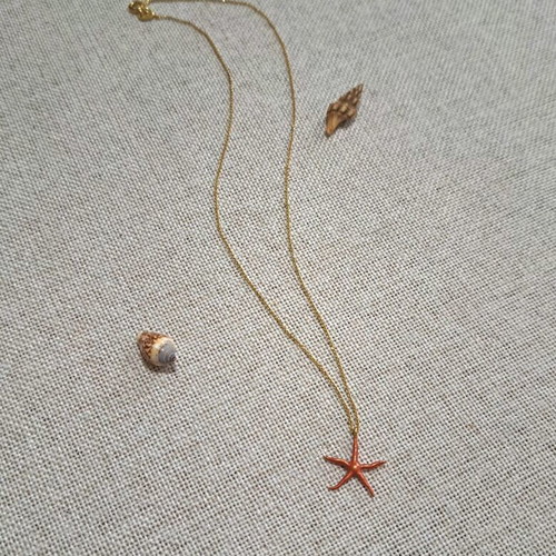 925 Silver Gold-Plated Necklace with Coral Starfish, Solar Tide Collection
