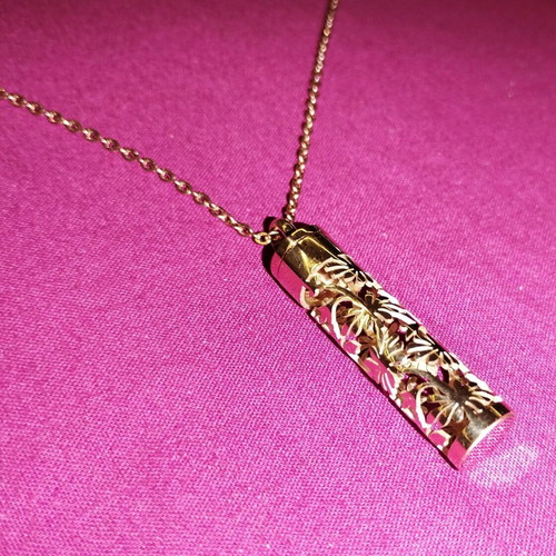 Golden Rose Aromatherapy Pendant with Case and Perforated Design