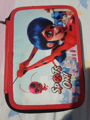 Ladybug pencil case used, very good condition