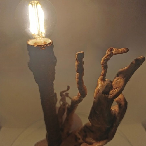 Table lamp from forest root new, handcrafted rustic design