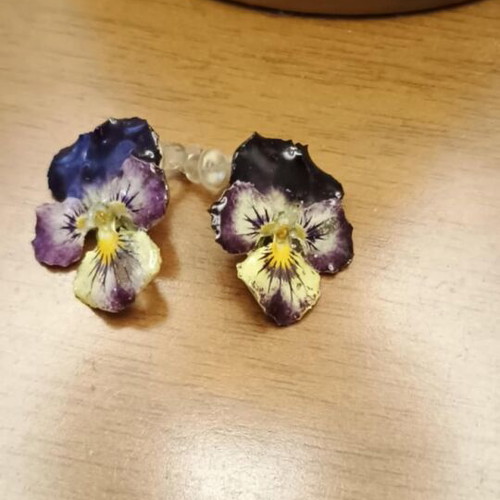 Earrings with real pansies new, blue multicolor