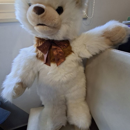 Large teddy bear like new