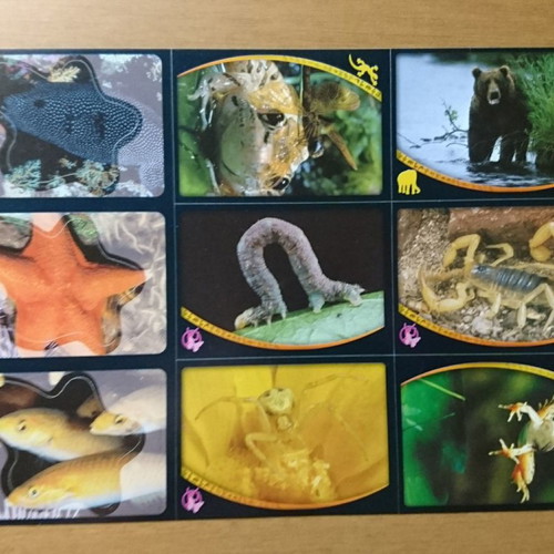 National Geographic magazines used, December 1998 and February 1999 with 9 Panini stickers