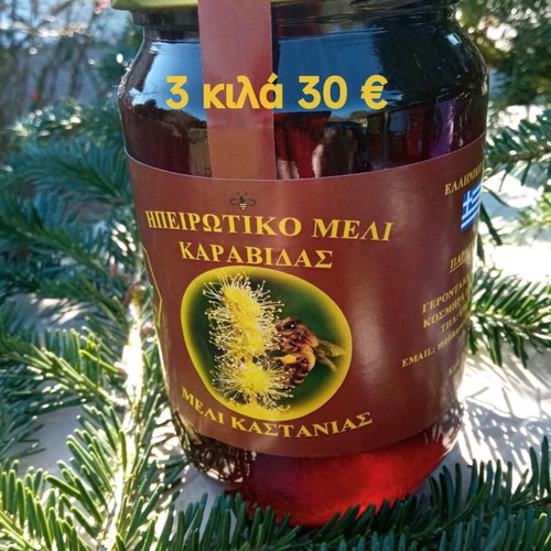 Chestnut Honey 3 kg from Zagorochoria Ioannina new