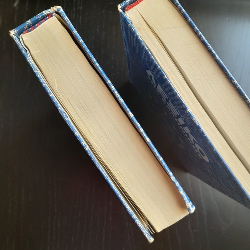 Greek Dictionary 2 volumes, like new inside, worn covers