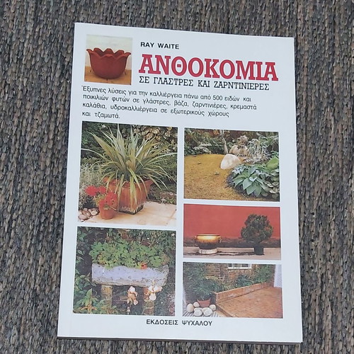 Anthokomia in pots and jardinières Ray Waite new