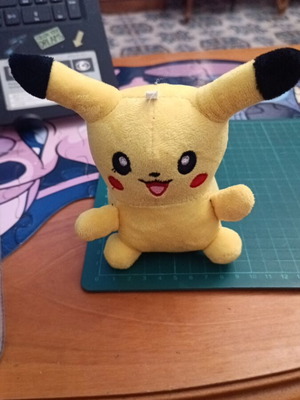 Pokémon Λουτράκι Pikachu σαν καινούργιο