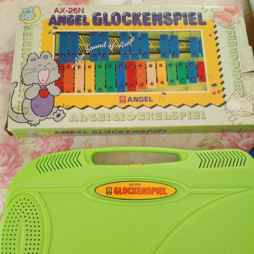 Metallophone used children's musical instrument in case