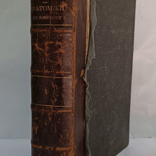Anatomy of Man used, 1914, by N.P. Michalakeas