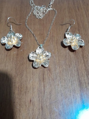 Jewelry set necklace earrings new gold-colored
