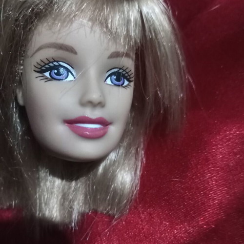 Barbie head used, collector's item