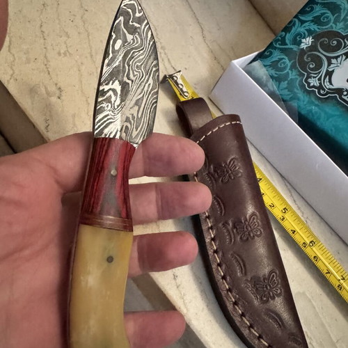 Handmade Skinner Knife Damascus Steel with Horn and Wood Handle