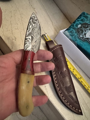 Handmade Skinner Knife Damascus Steel with Horn and Wood Handle