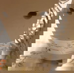  WAVE MASTER 60 ΔΥΟ ΗΧΕΙΑ ΥΠΟΛΟΓΙΣΤΗ