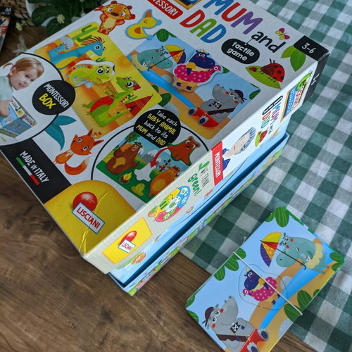 Montessori Mum and Dad educational game used