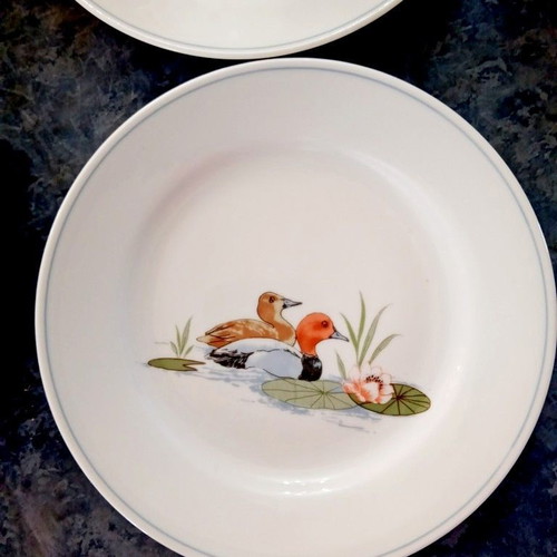 German Kahla cups set