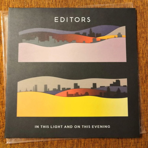 Indie pop-rock vinyl records used, pack of 10, collectible