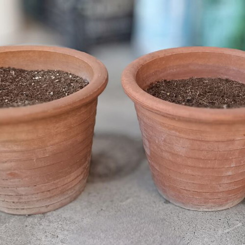 Terracotta flower pots used, pack of 2, 32.5cm diameter