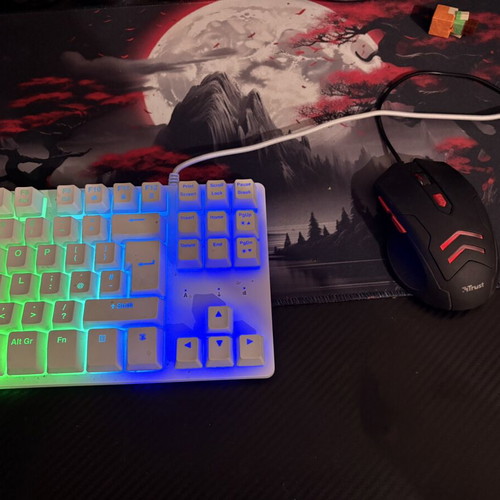 ADX RGB gaming keyboard and Trust gaming mouse set
