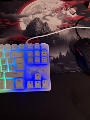 ADX RGB gaming keyboard and Trust gaming mouse set