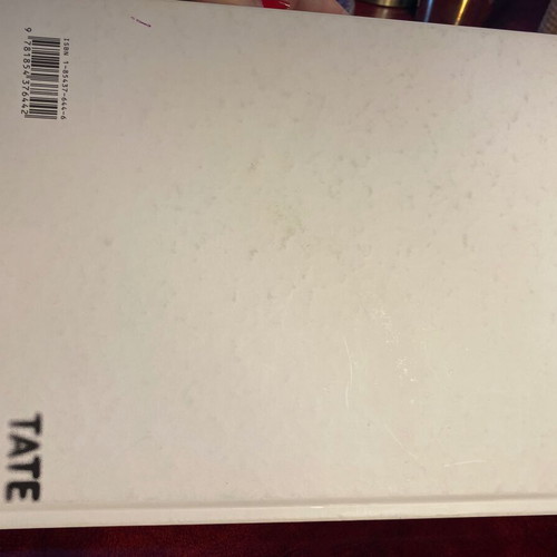 Pierre Huyghe Le Chateau de Turing & Celebration Park exhibition catalogs