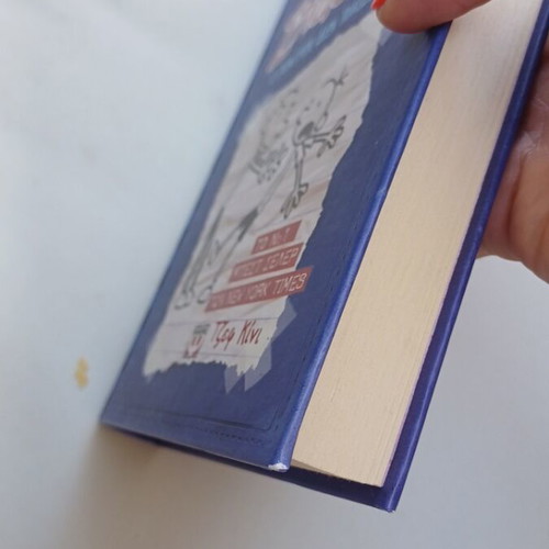 Diary of a Wimpy Kid comic book like new, slightly worn corners