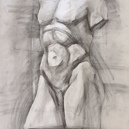 Original Charcoal Drawing on Ingres Paper Belvedere Male Torso like new 70x50 cm