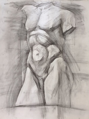 Original Charcoal Drawing on Ingres Paper Belvedere Male Torso like new 70x50 cm