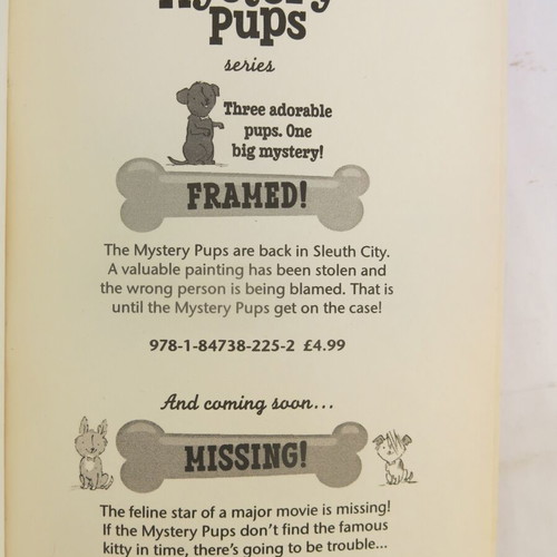 Mystery Pups - Dognapped! book used, in English